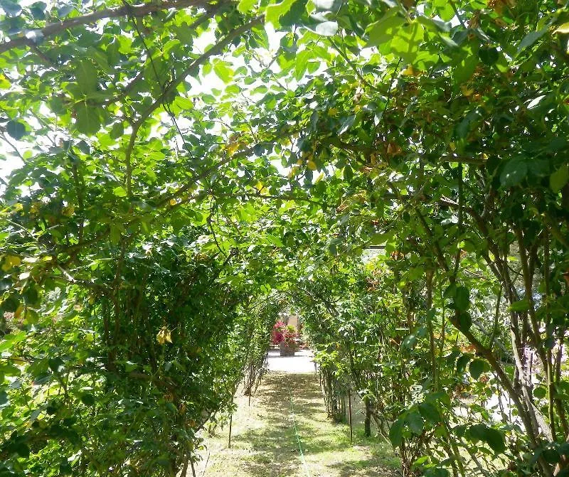B&B Don Gaspano Pace Del Mela Bed and breakfast