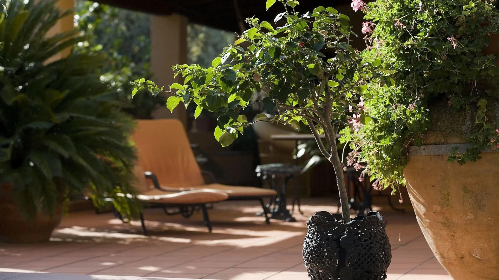 Bed & Breakfast B&B Don Gaspano Pace Del Mela
